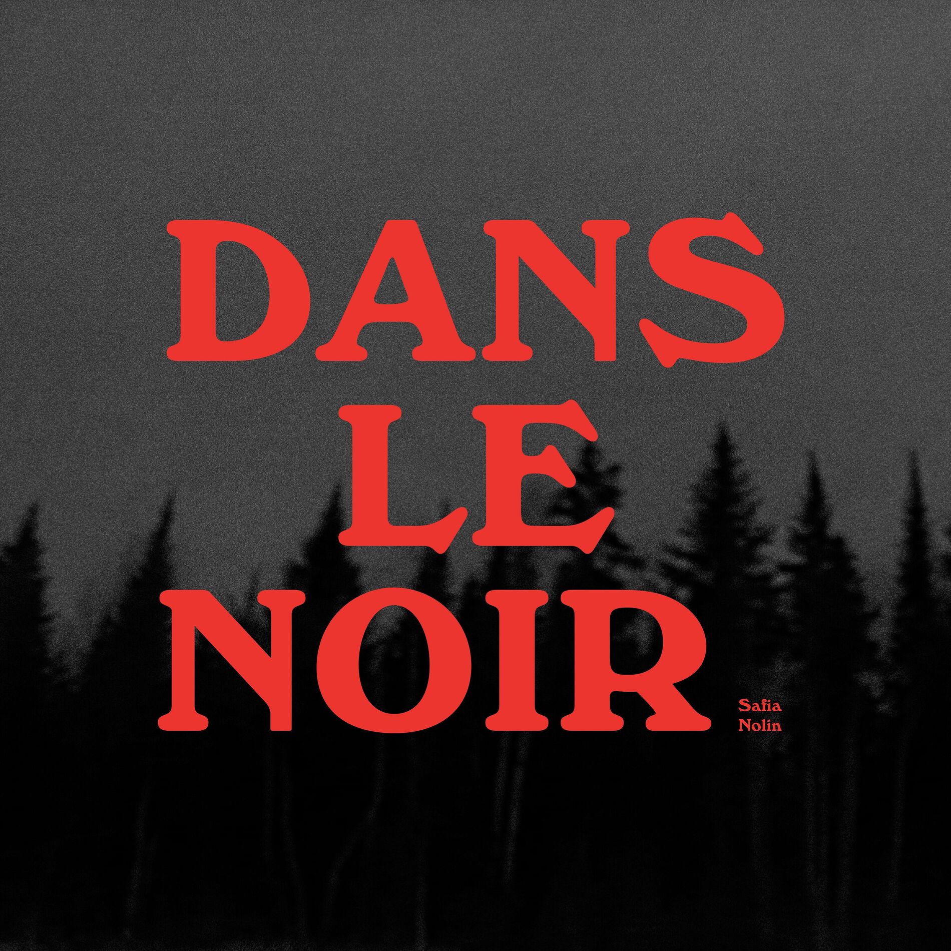 Album cover of Dans le noir