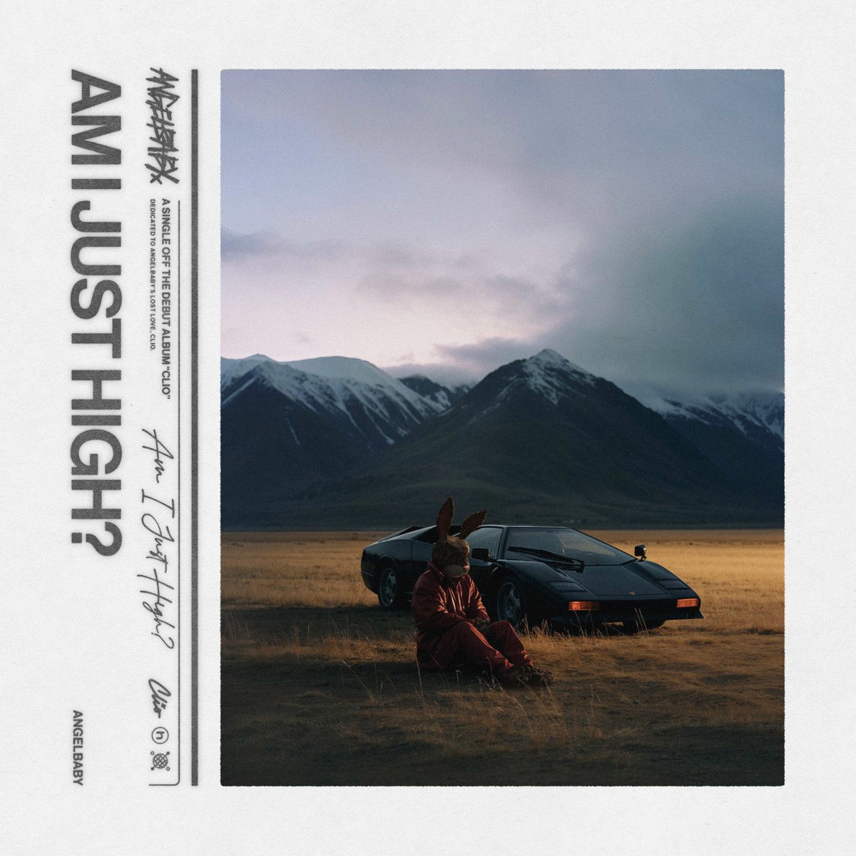 Album cover of am i just high?