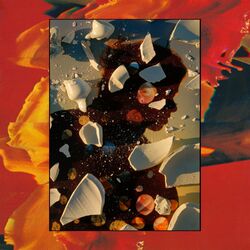 Cover of Sugar the Bruise