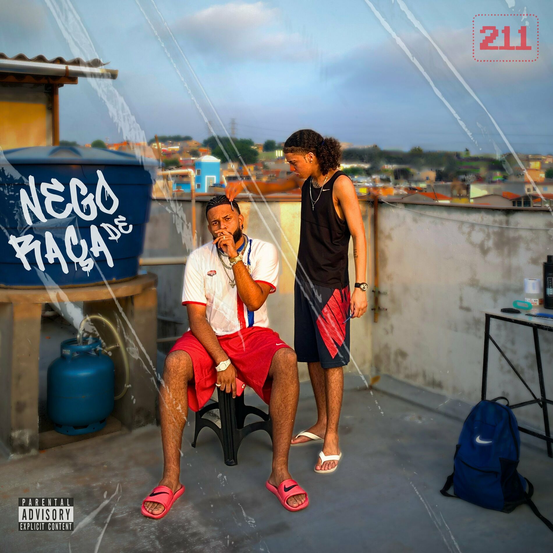 Album cover of Nego de Raça