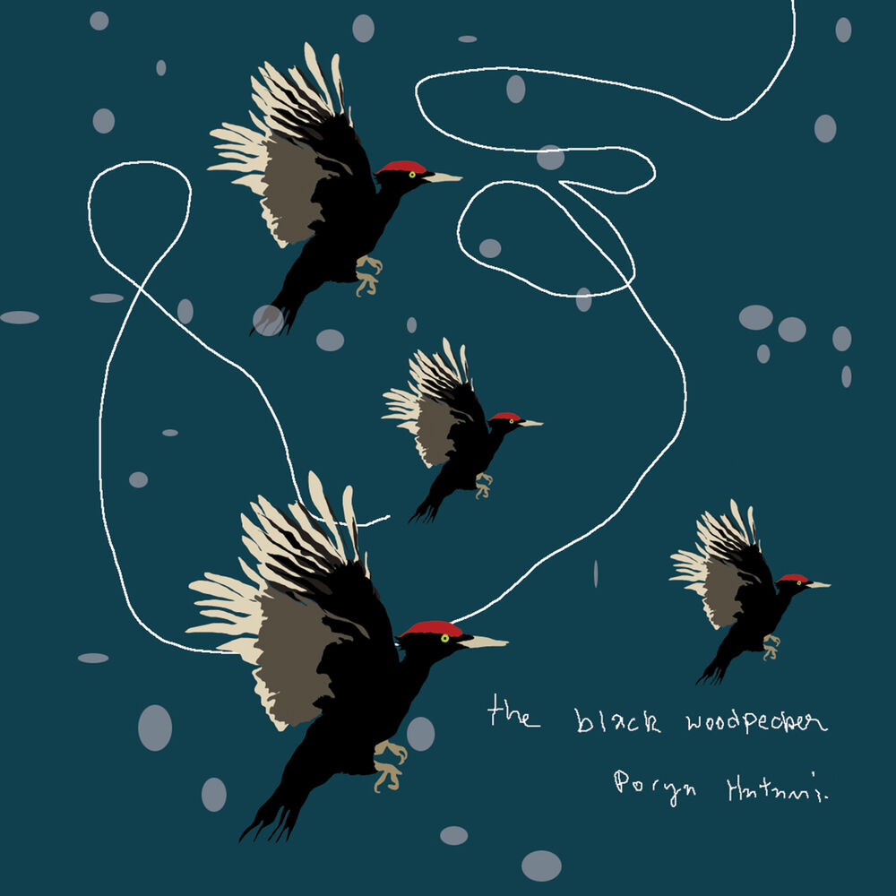 Picture of The Black Woodpecker