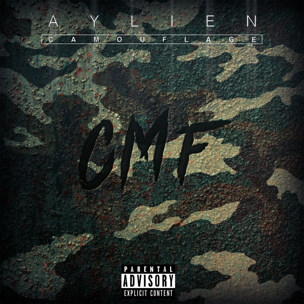 Picture of Camouflage Cmf