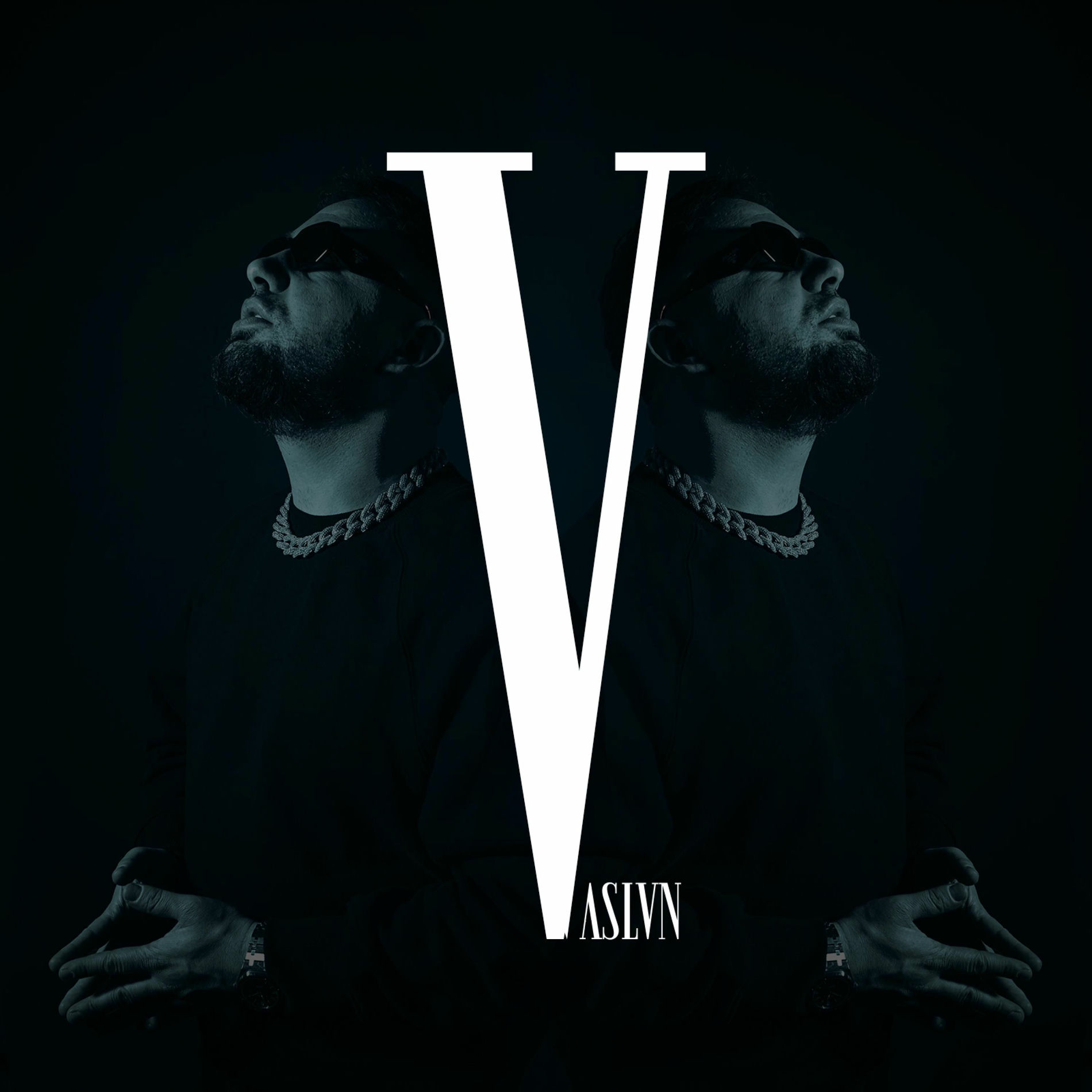 Album cover of V