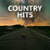 Hard To Forget (Radio Edit) by Sam Hunt album cover