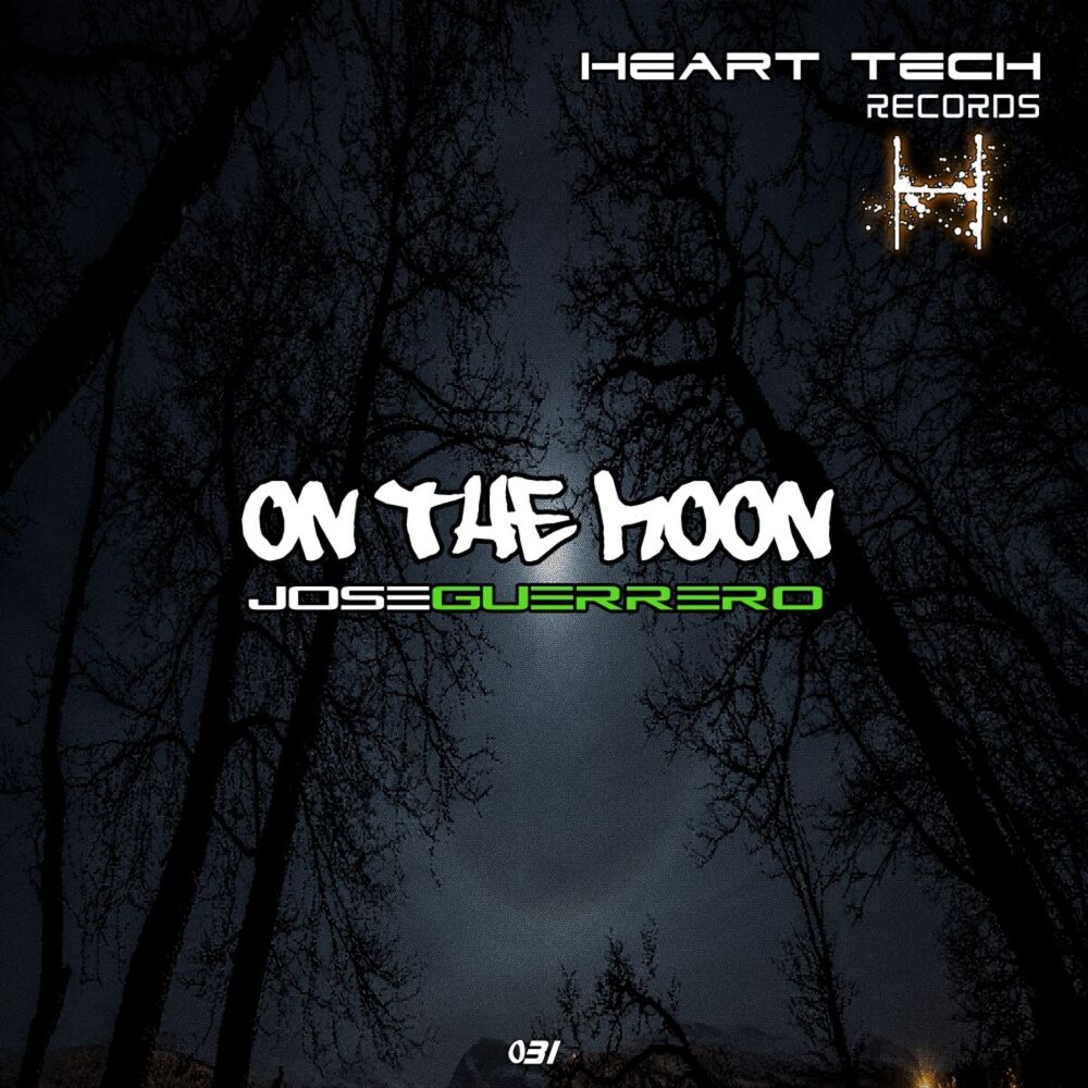 Picture of On The Moon