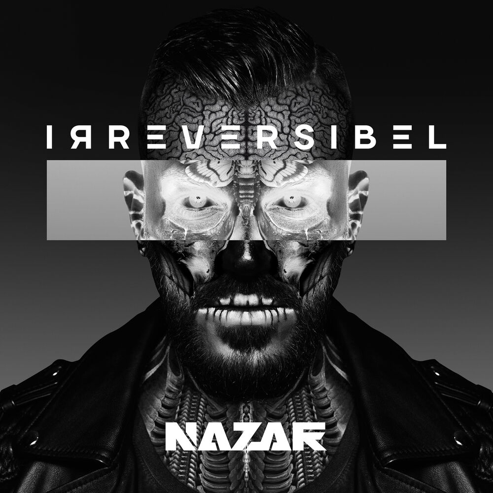 Picture of Irreversibel