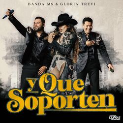 Cover of Y Que Soporten