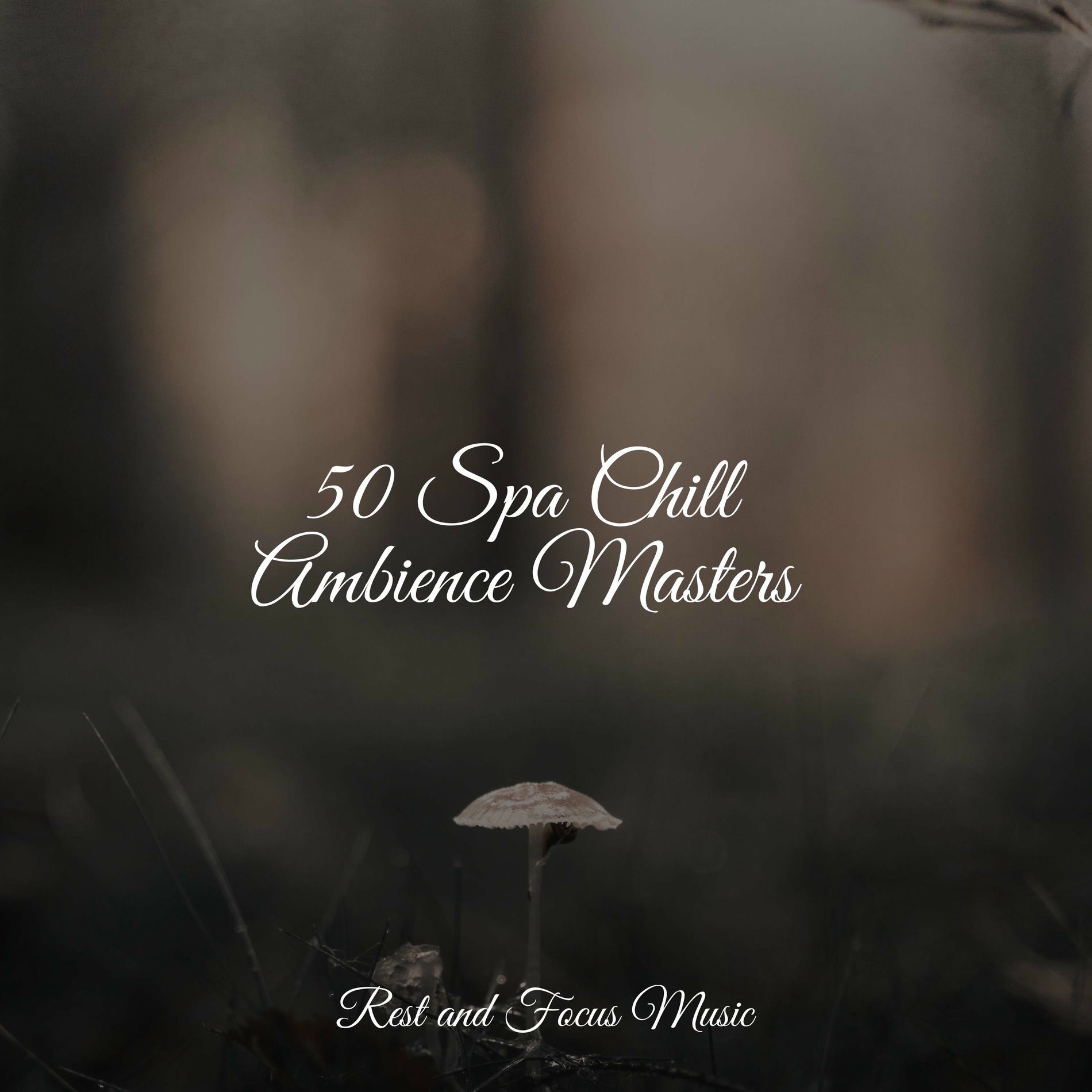 Album cover of 50 Spa Chill Ambience Masters