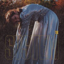 Cover of The System