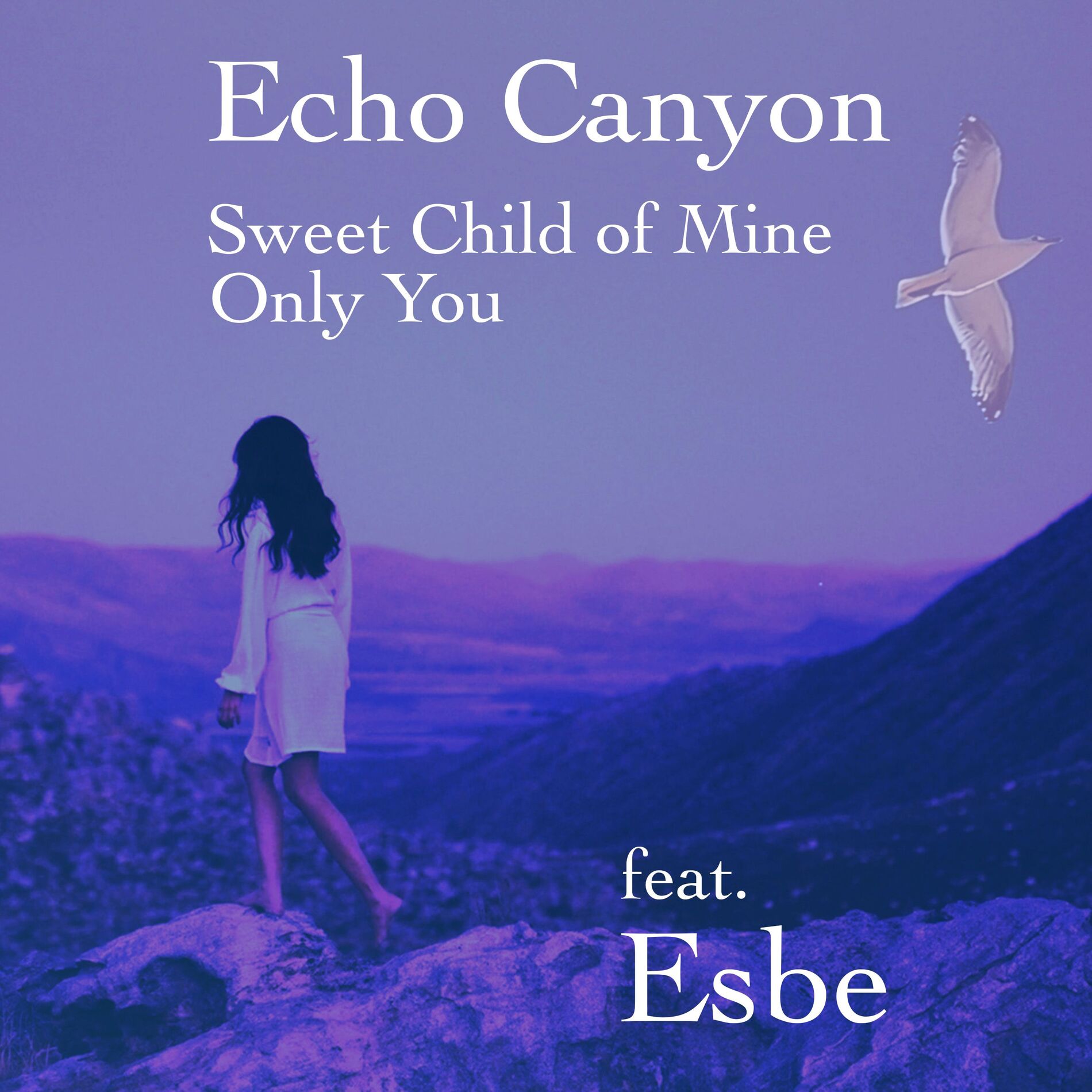 Album cover of Echo Canyon (Sweet Child Of Mine, Only You)