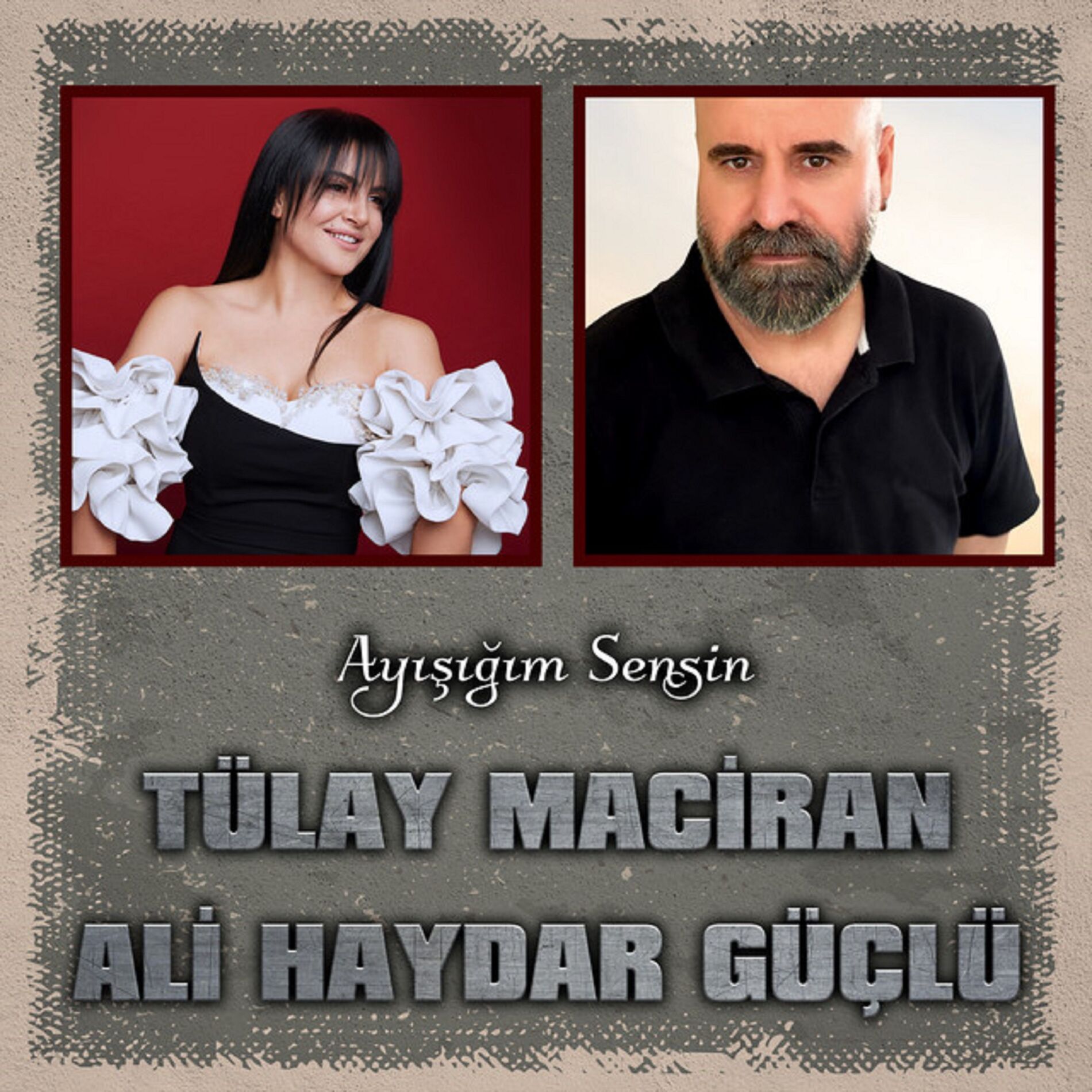 Album cover of Ayışığım Sensin