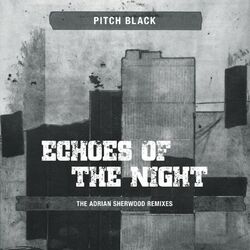 Cover of Echoes of the Night (The Adrian Sherwood Remixes)