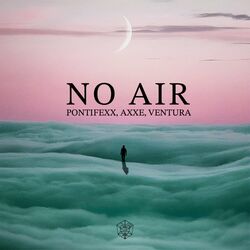 Cover of No Air