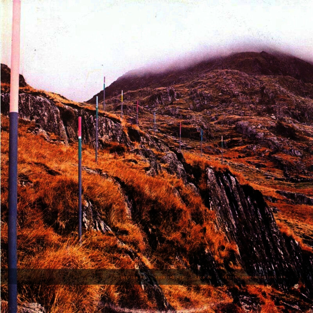 洋楽 SECTION 25 / From the Hip Section 25 - From the Hip - Darla Records