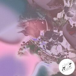Cover of Stolen Car