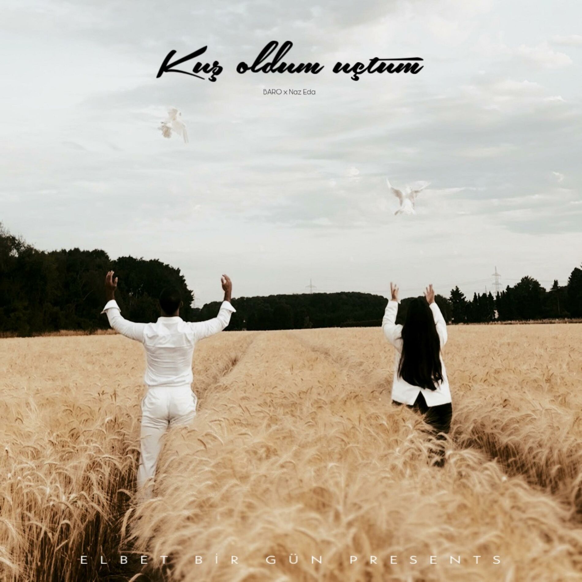Album cover of KUŞ OLDUM UÇTUM (feat. Naz Eda)