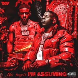 Cover of I'm Assuming