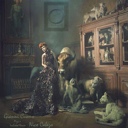Cover of M.g.c.e