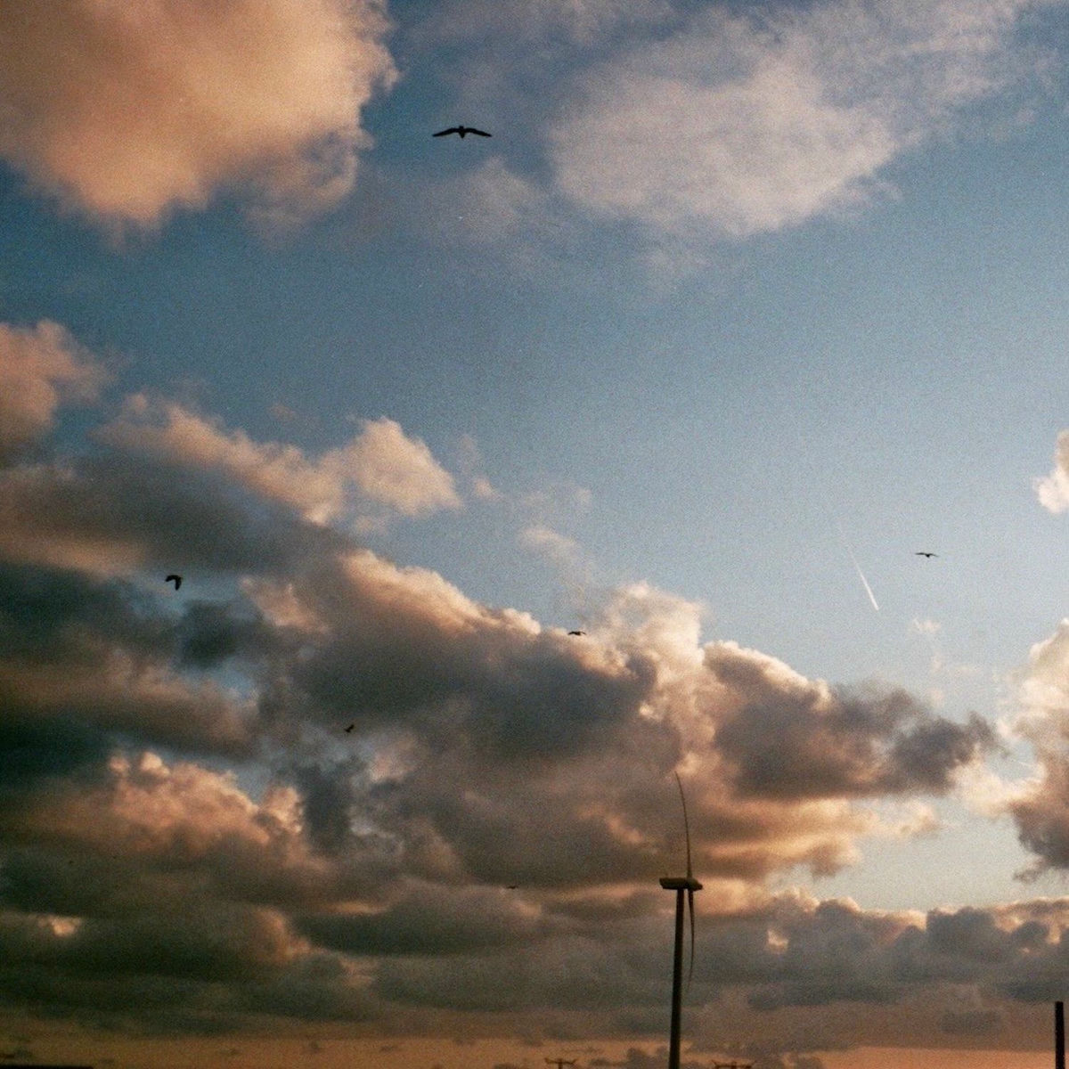 Album cover of heile welt