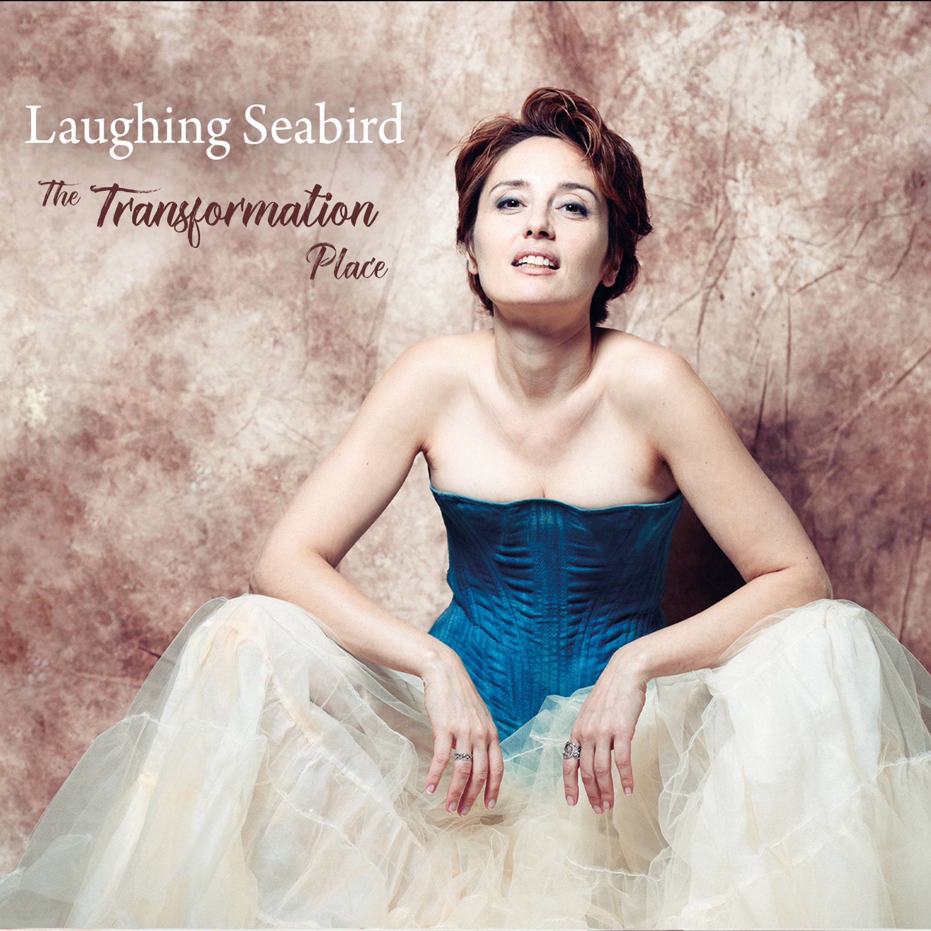 Album cover of The Transformation Place