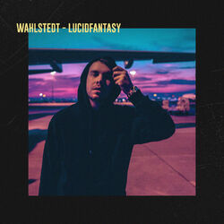 Cover of Lucidfantasy