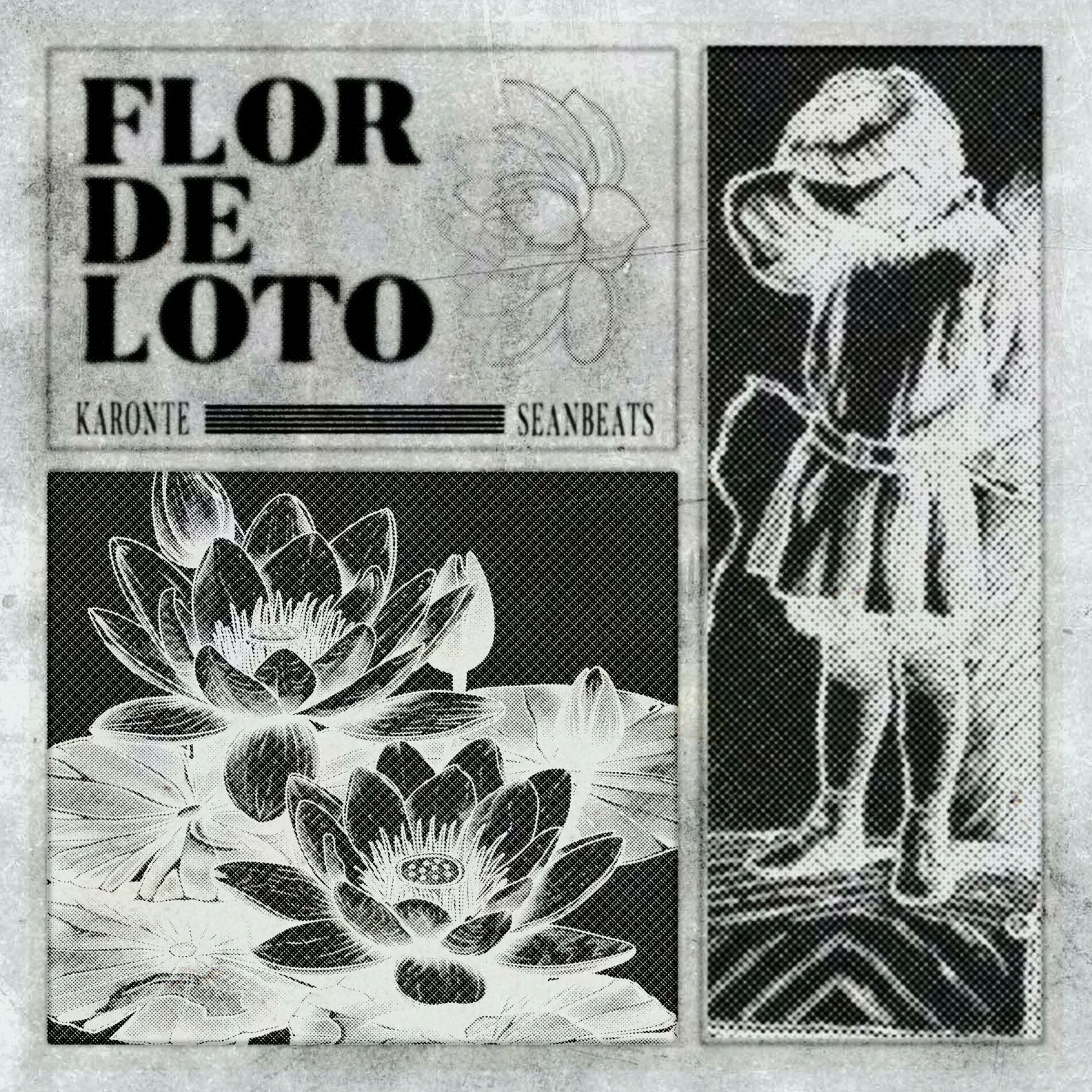 Album cover of Flor de Loto (feat. SeanBeats)