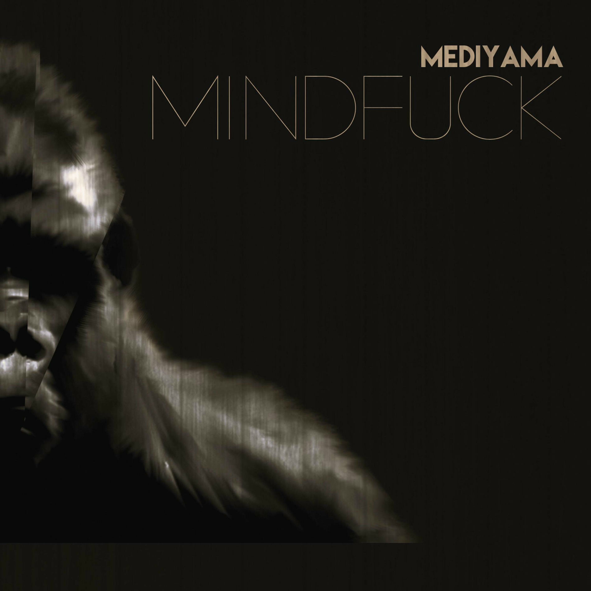 Album cover of MINDFUCK