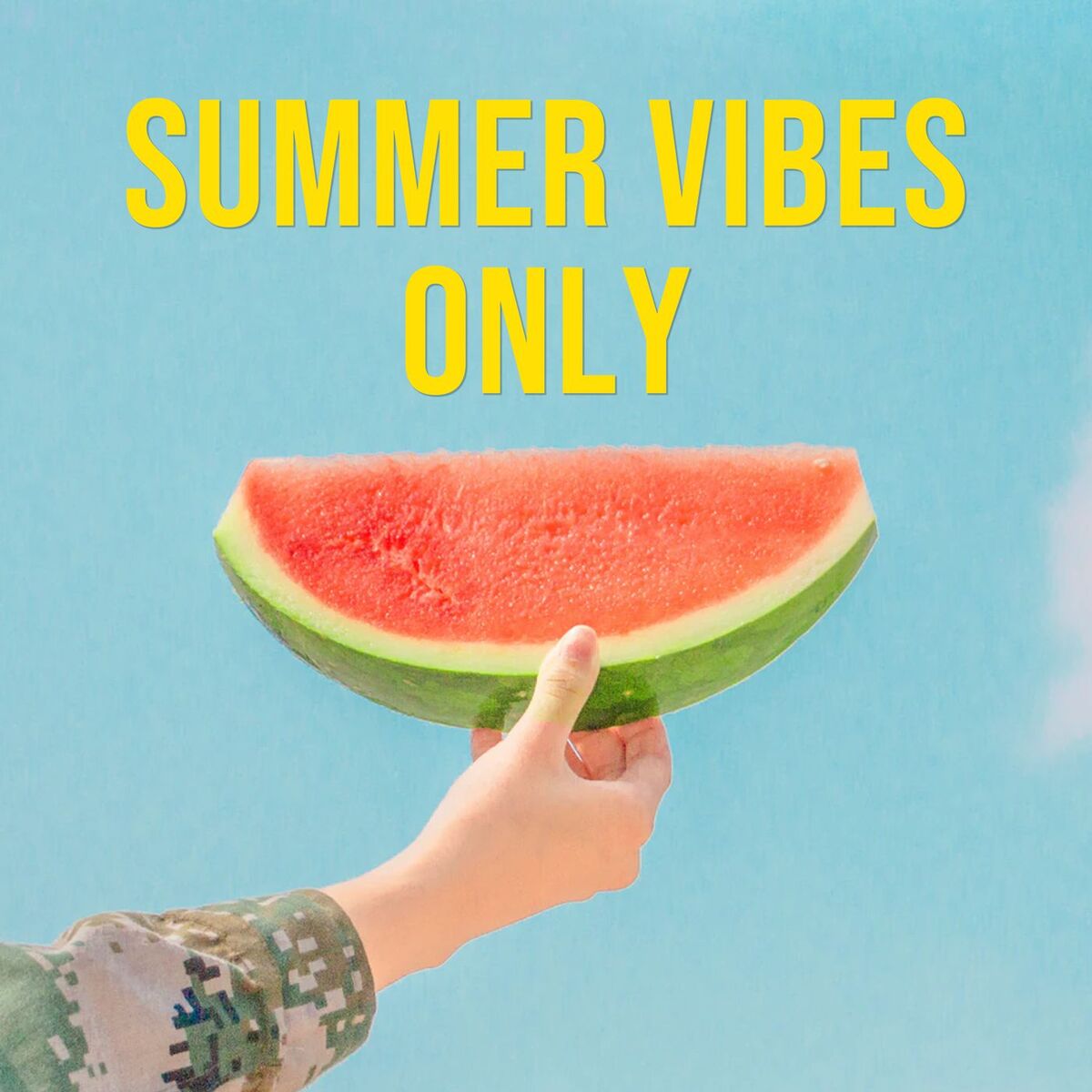 Album cover of Summer Vibes Only