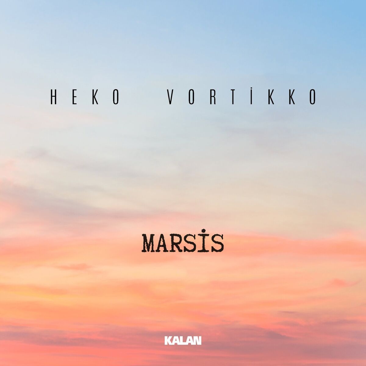 Album cover of Heko Vortikko