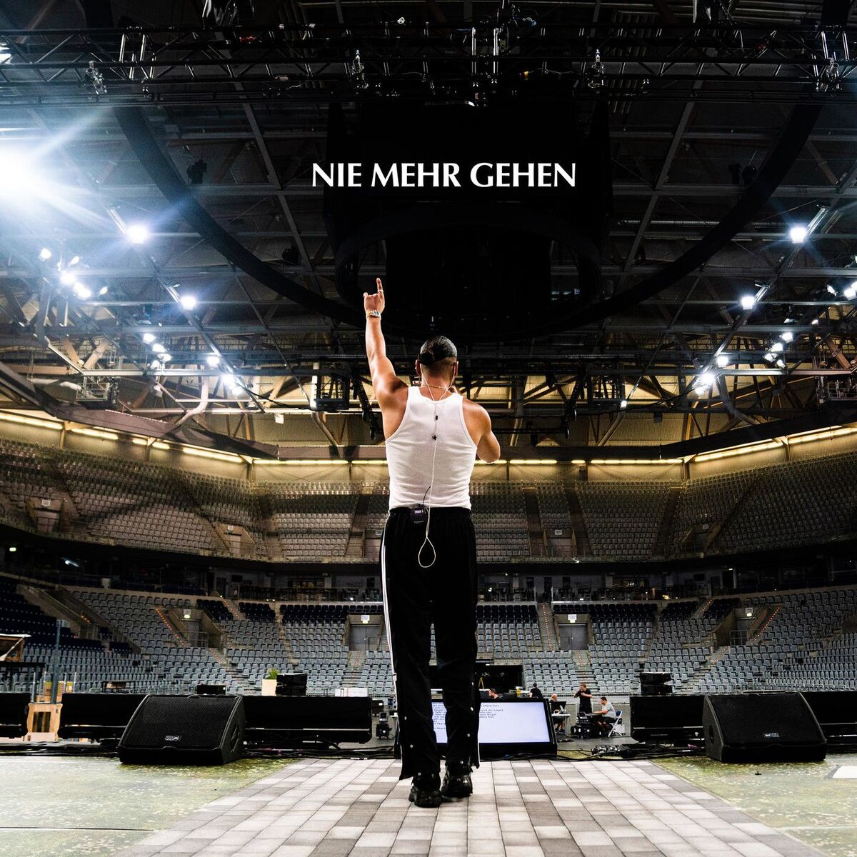 Album cover of Nie mehr gehen