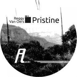 Cover of Pristine