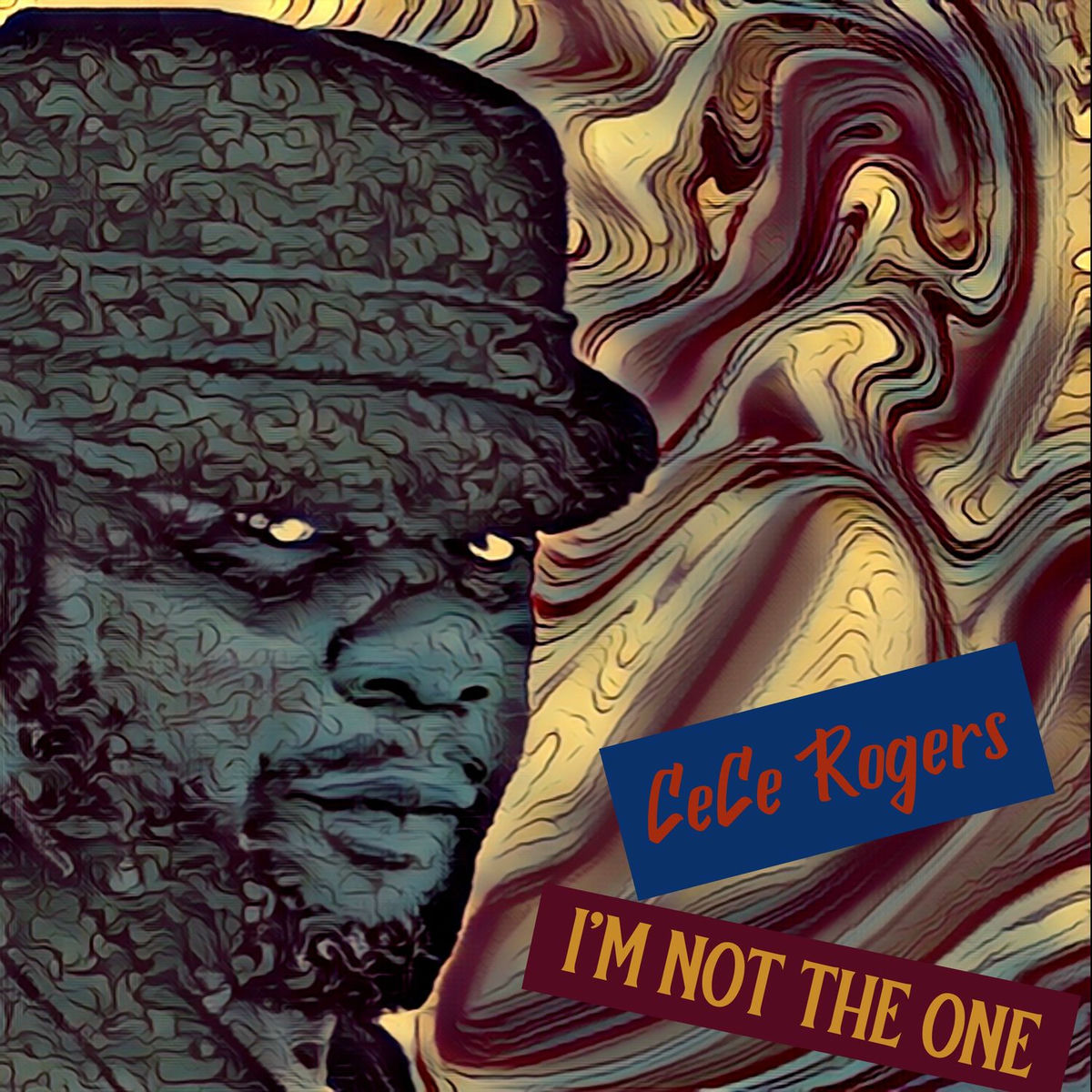 Album cover of I'm Not The One