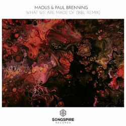 Cover of What we are made of (16BL Remix)