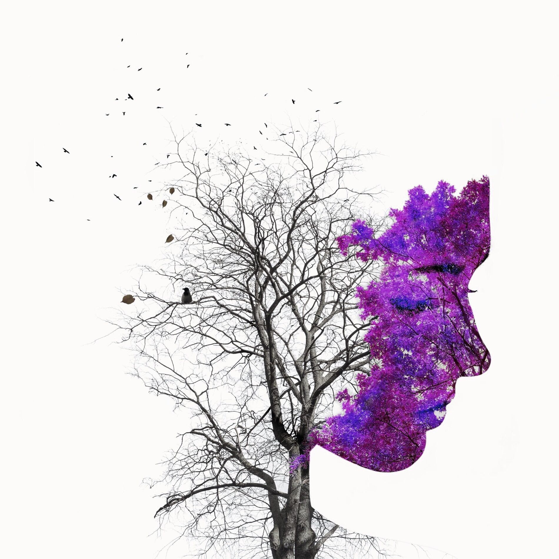 Album cover of Tied to You