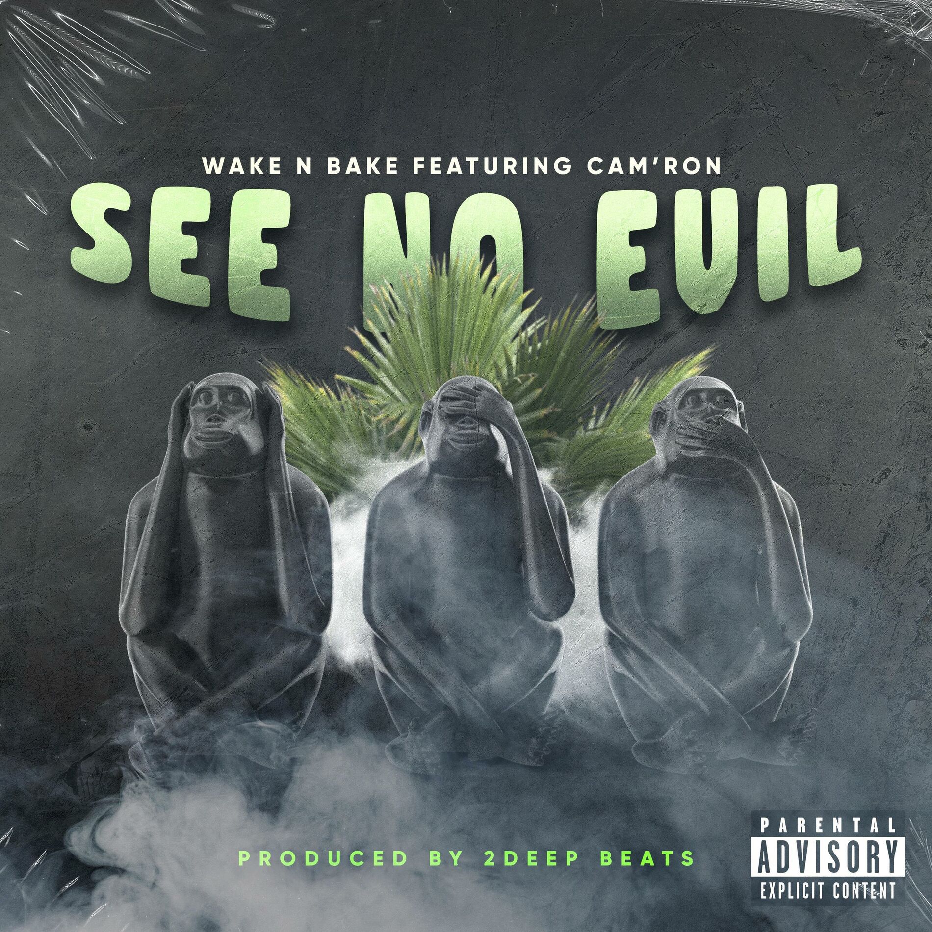 Album cover of See No Evil (feat. Cam'ron)