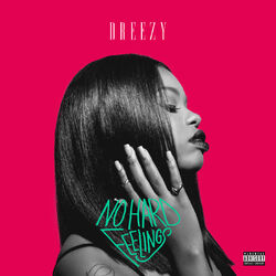 Cover of No Hard Feelings