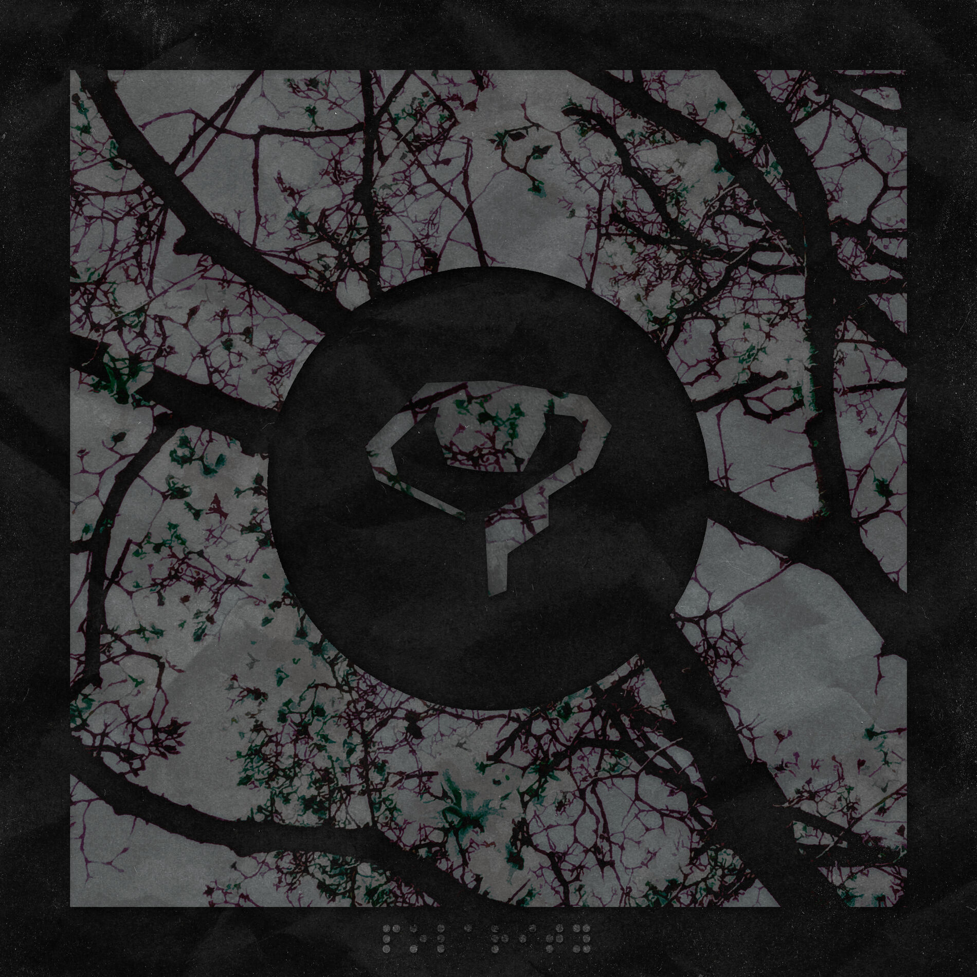 YUKI: álbuns, músicas, shows | Deezer