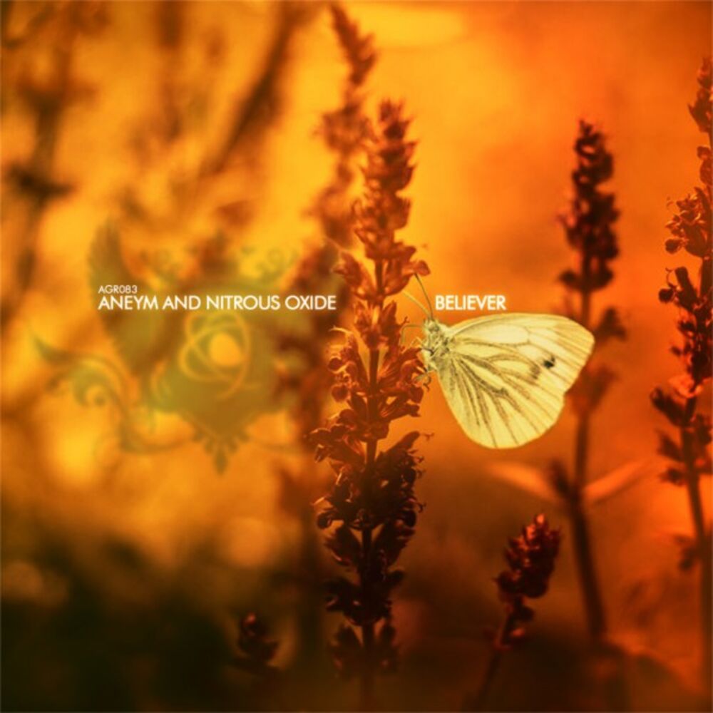 Picture of Believer