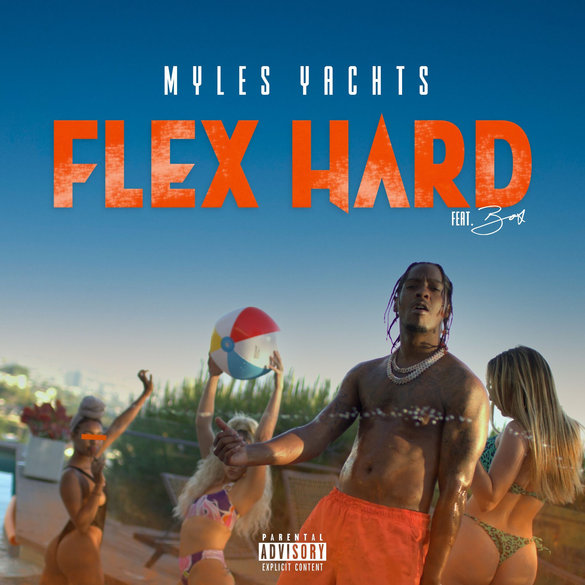 Album cover of Flex Hard