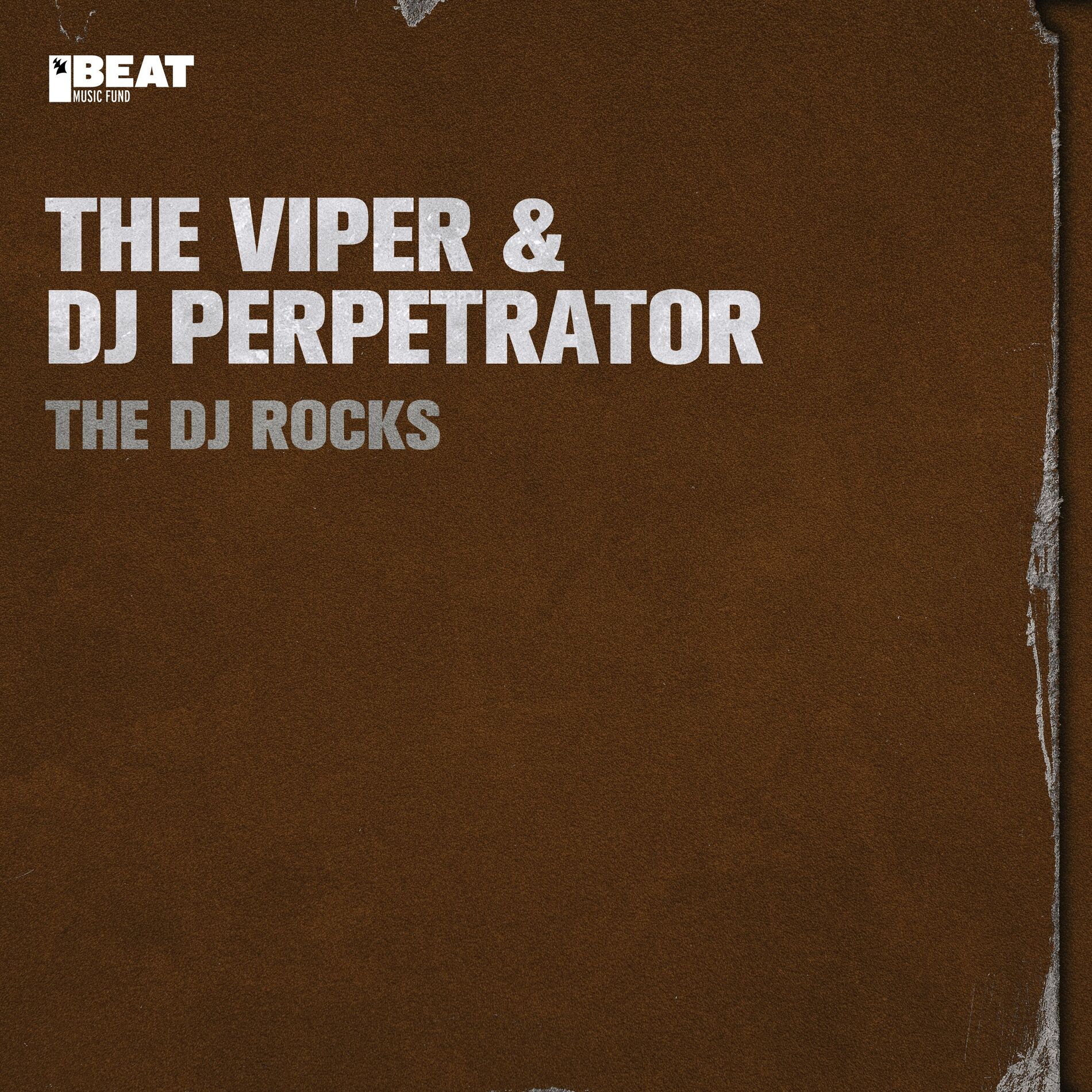 Album cover of The DJ Rocks