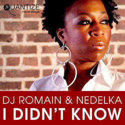 Cover of I Didn't Know