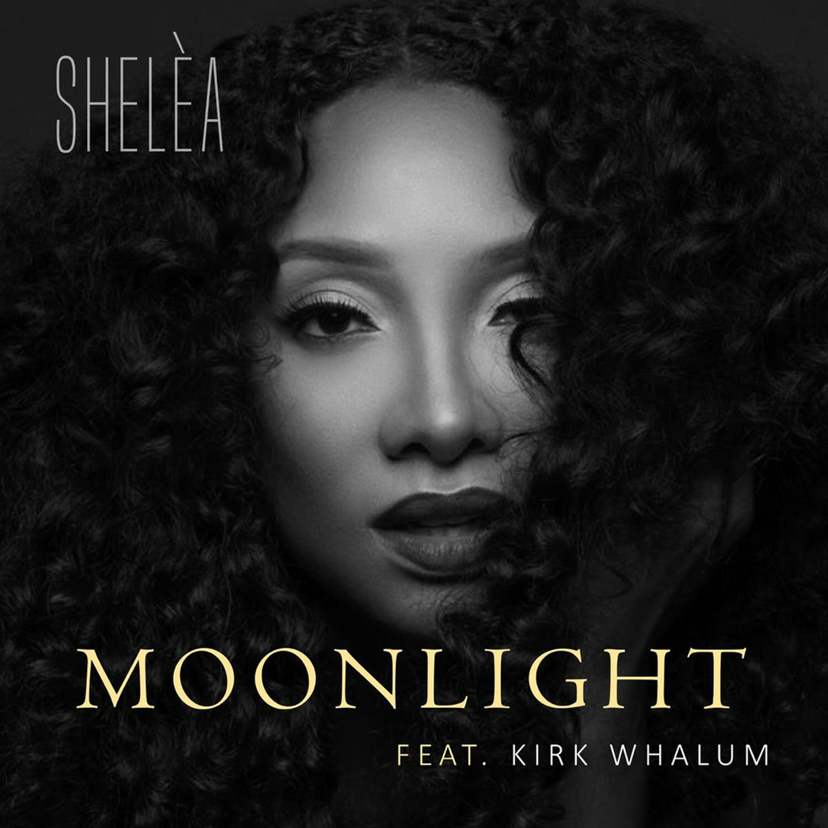 Album cover of Moonlight