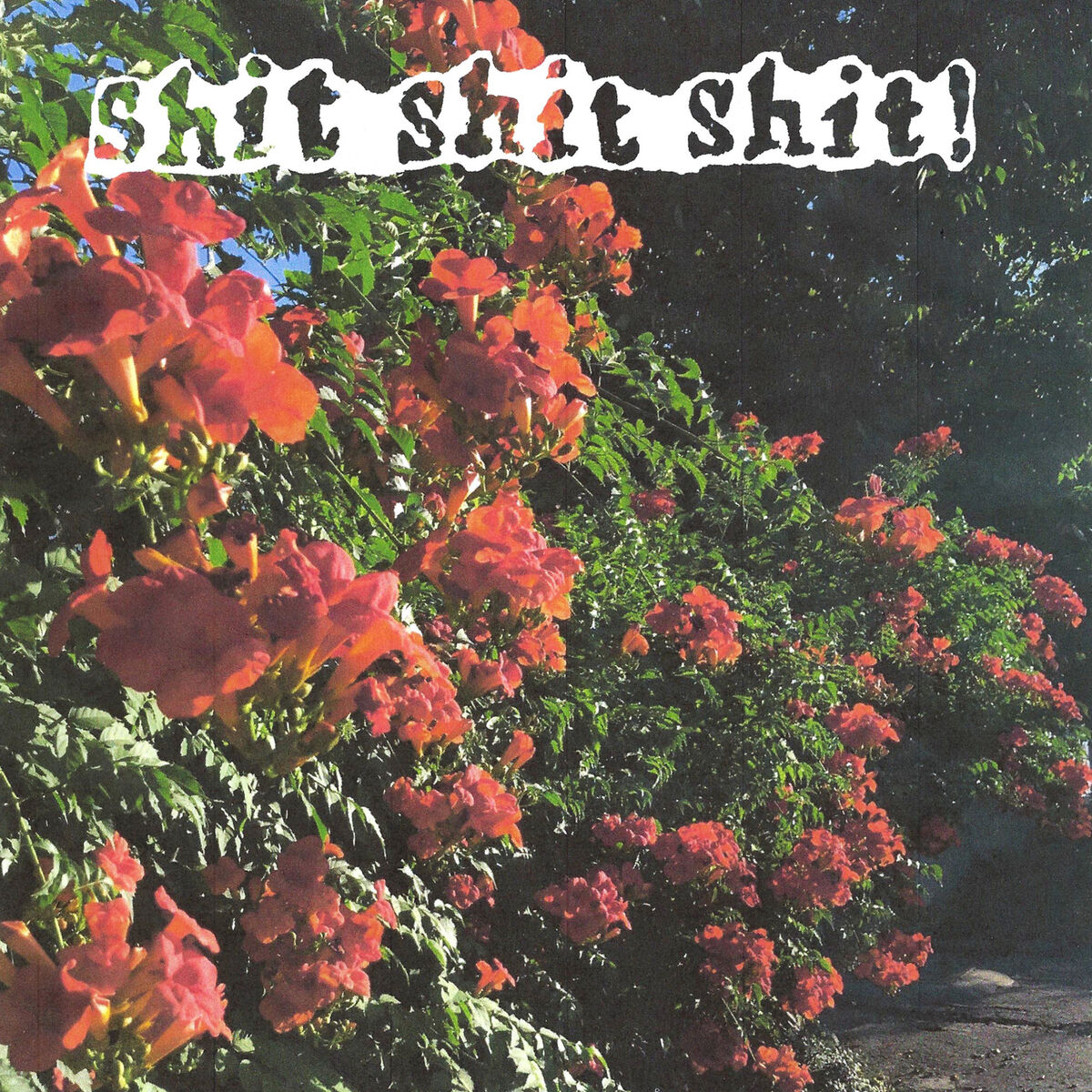 Album cover of ACIDSUN