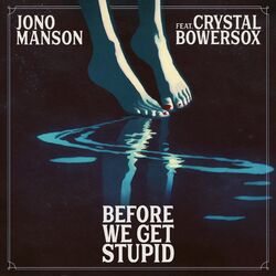 Cover of Before We Get Stupid