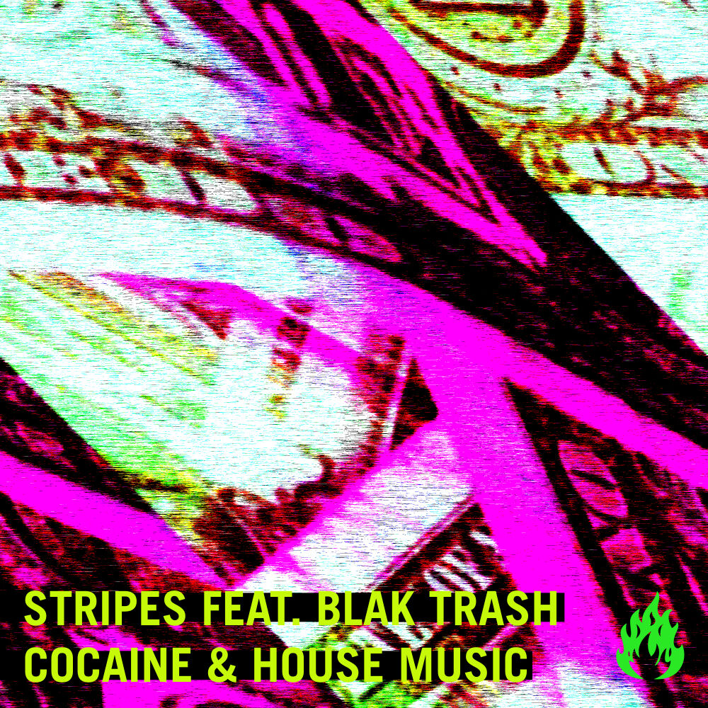 Picture of Cocaine & House Music