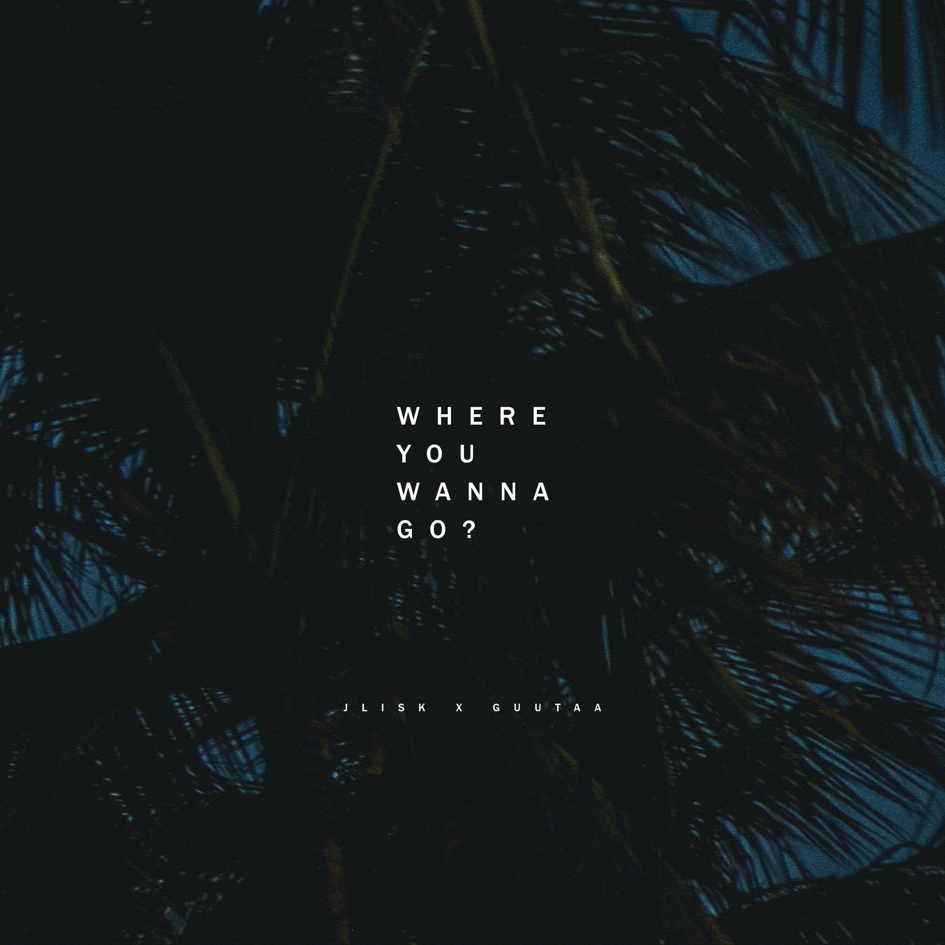 Album cover of Where You Wanna Go?