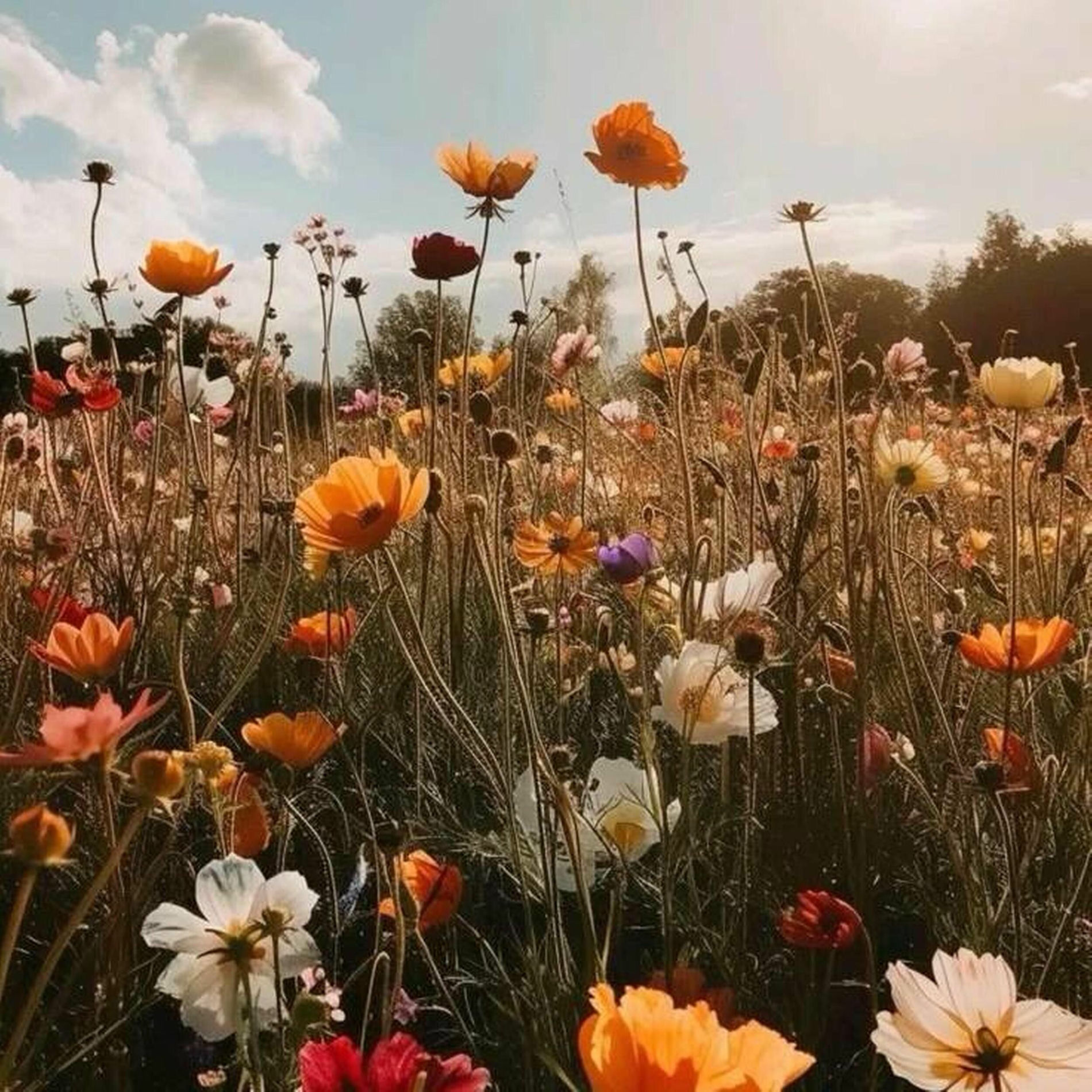 Album cover of what u talkin' bout! (God is gracious!)