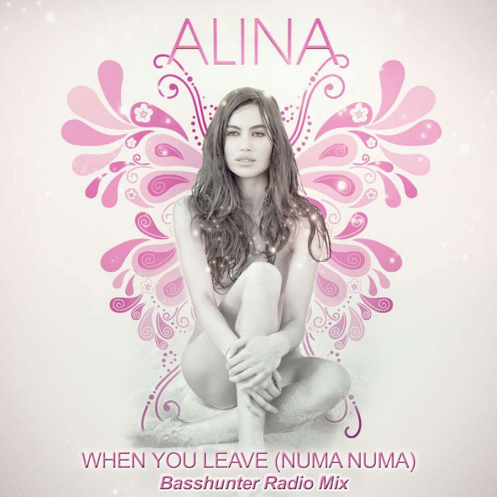 Picture of When You Leave [Numa Numa] - Basshunter Radio Mix