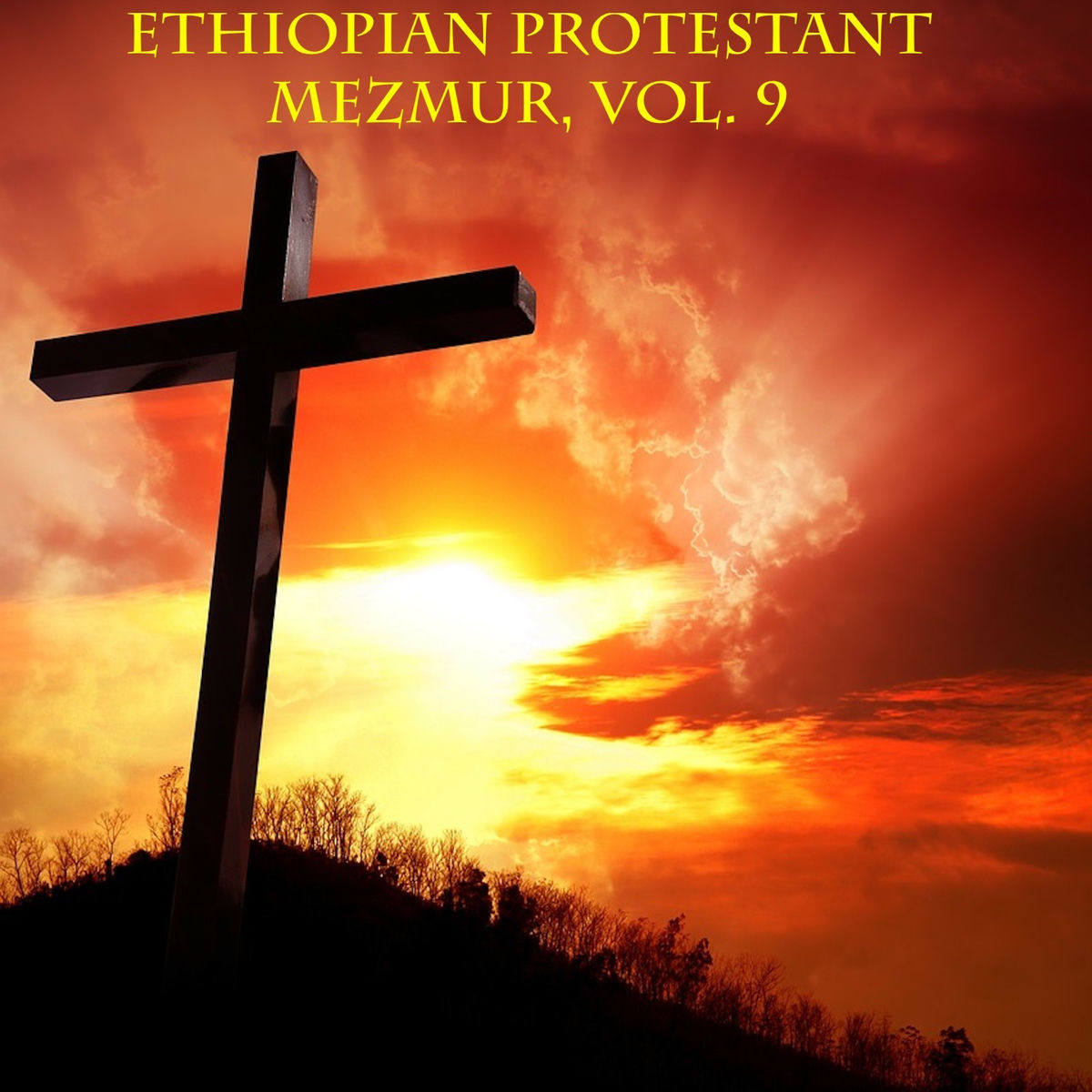 Album cover of Ethiopian Protestant Mezmur, Vol. 9