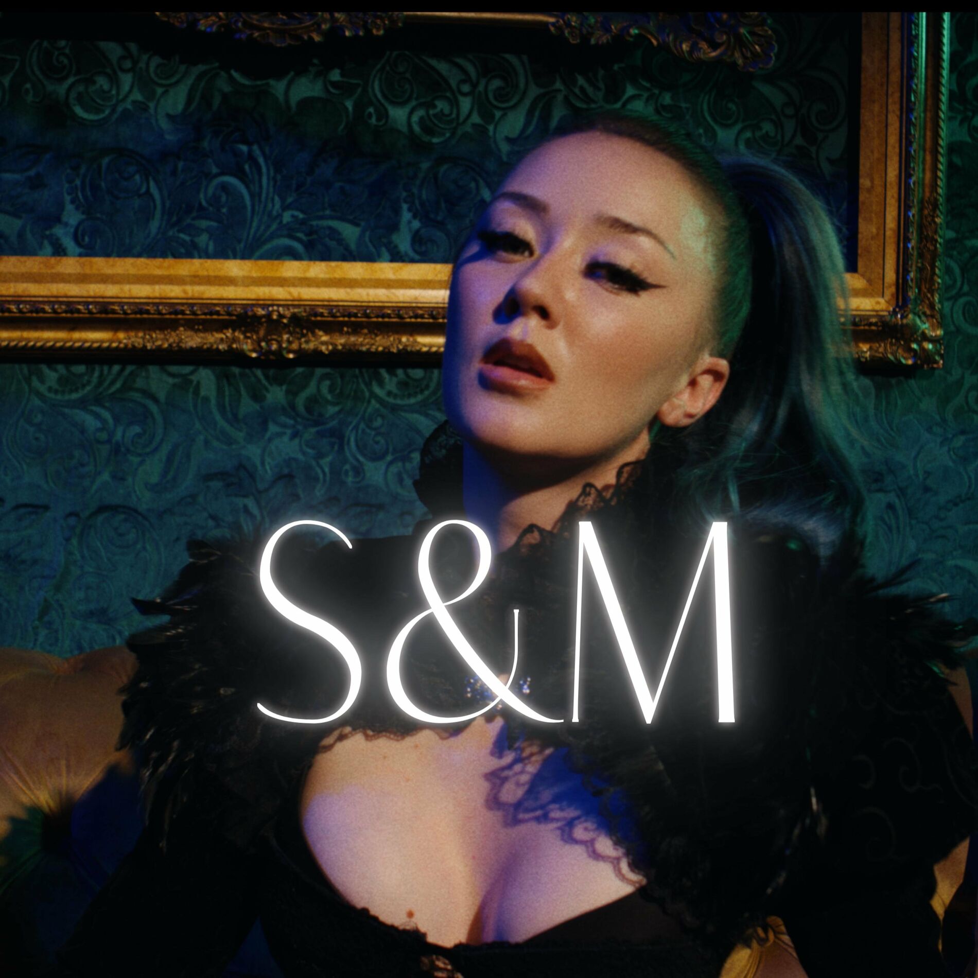 Album cover of S&M